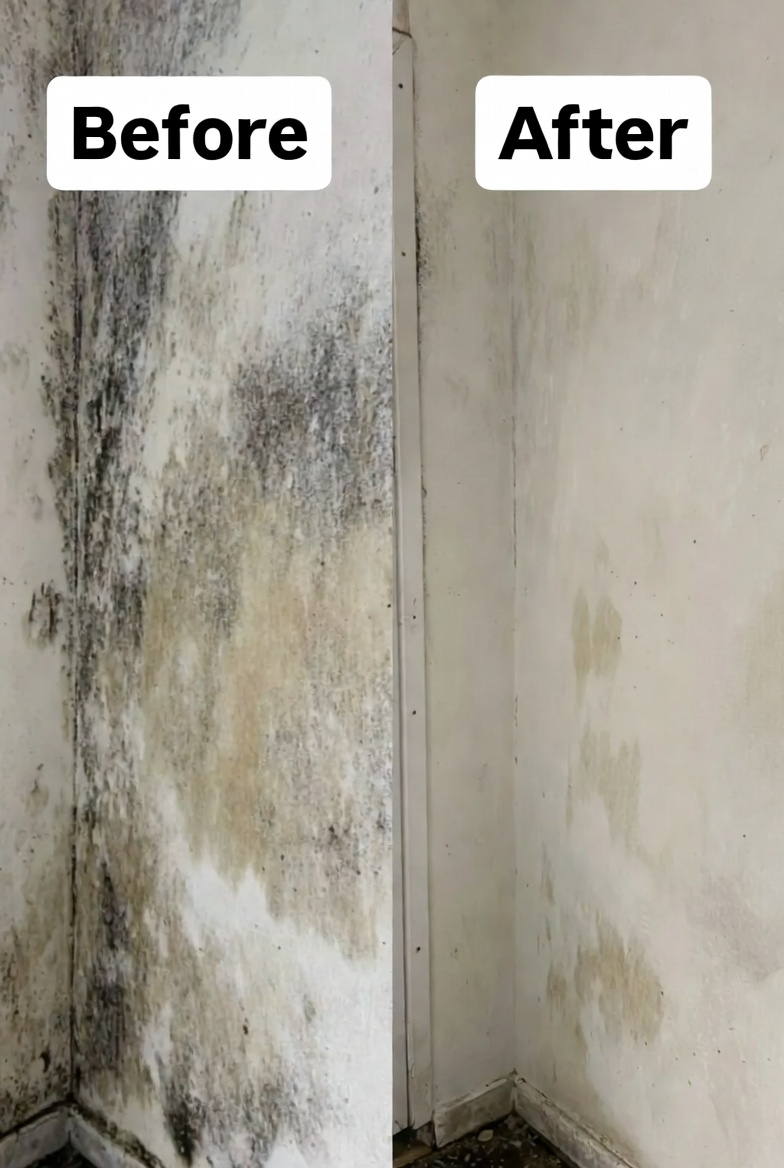 施工前後の比較 1（Before / After）